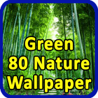 Green 80 Nature Wallpaper simgesi