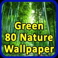 Green 80 Nature Wallpaper gönderen