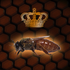 Календарь пчелиных маток FREE ไอคอน