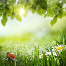 Green Spring Live Wallpaper-APK