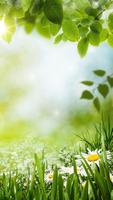Green Spring Live Wallpaper penulis hantaran