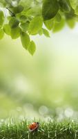 Green Spring Live Wallpaper syot layar 1