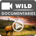 Natural Geographic Latest Docu