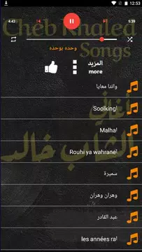 Screenshot 4 for اغاني الشاب خالد | بدون نت