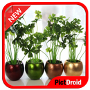 Hydroponic Design Ideas APK
