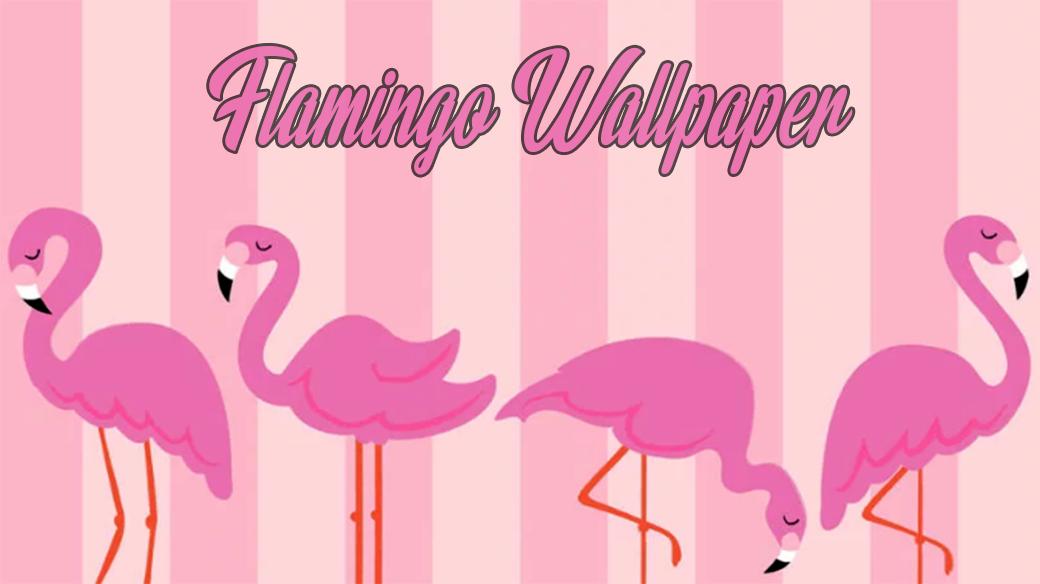 Cute Flamingo Wallpaper For Android Apk Download