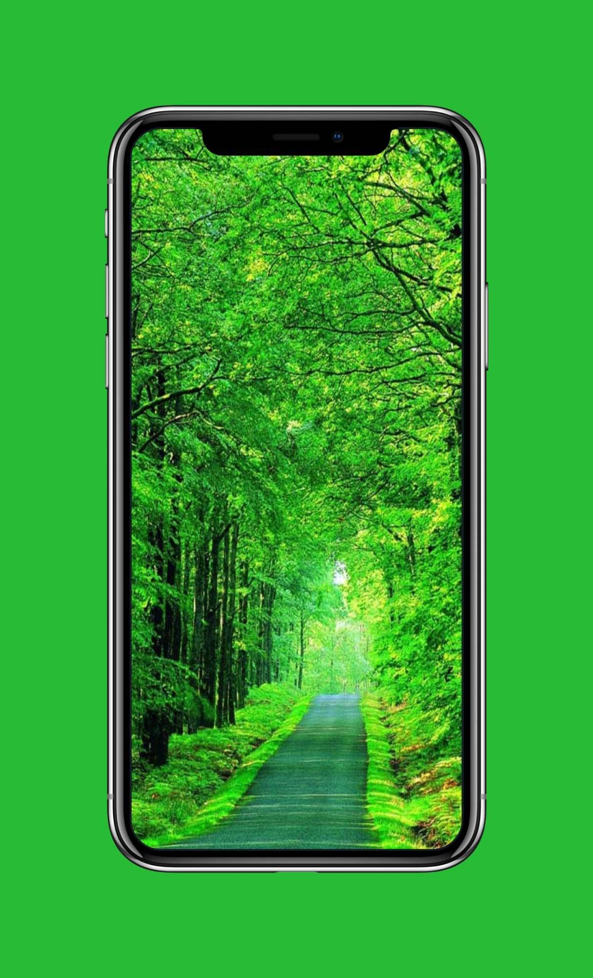 Android 用の 緑の壁紙 Apk をダウンロード