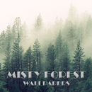 خلفيات ضبابية الغابات APK