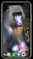 Monkey Wallpaper screenshot 1