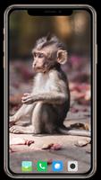 Monkey Wallpaper screenshot 2