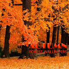 Autumn Forest Wallpaper ไอคอน