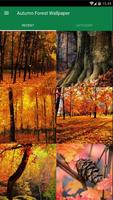 Autumn Forest Wallpaper poster