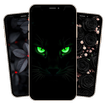 Black Live Wallpaper icon