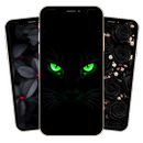 APK Black Live Wallpaper