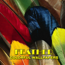 Feather Colorful Wallpaper APK