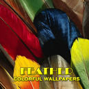 Feather hình nền đầy màu sắc APK