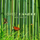 Bamboo Forest Wallpaper APK