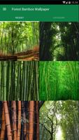 Papier peint Forêt de bambous Affiche