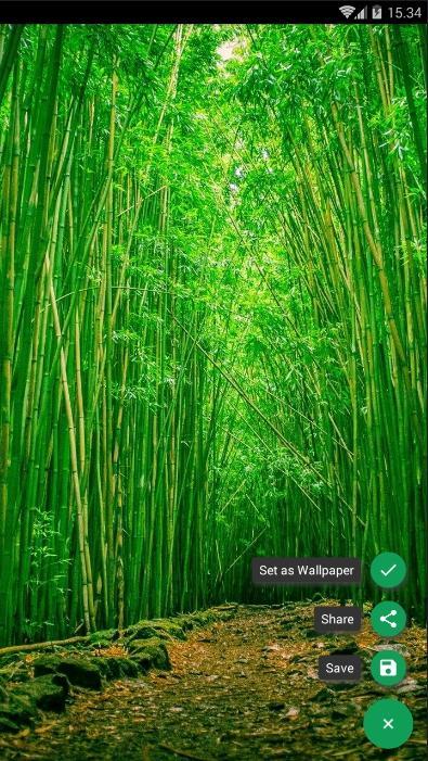竹林壁纸安卓下载 安卓版apk 免费下载 竹林壁纸安卓下载 安卓版apk 免费下载