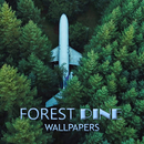 Pine Forest Wallpaper APK