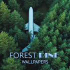 Pine Forest Wallpaper ไอคอน