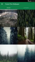 Pine Forest Wallpaper โปสเตอร์