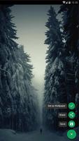 Pine Forest Wallpaper ภาพหน้าจอ 1