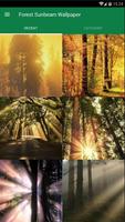 پوستر Sunbeam Forest Wallpaper