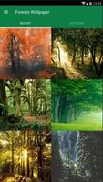 Forest Wallpaper 포스터