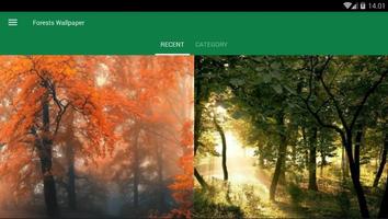 森の壁紙 スクリーンショット 3