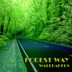 Forest Way Wallpaper