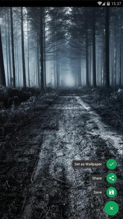Haunted Forest Wallpaper For Android Apk Download