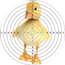 Shot The Duck APK