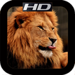 HD Lion Mobile Wallpapers icon