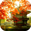 SEOUL Wallpapers - South Korea-APK