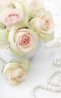 White Rose Live Wallpaper 스크린샷 1