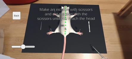 Mouse Dissection AR screenshot 1