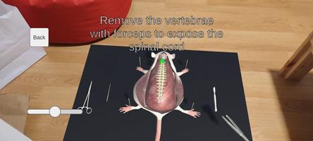 Mouse Dissection AR screenshot 3