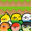 Parakeet Rush icon