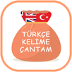 Learn Turkish Free App APK