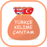 Learn Turkish Free App icône