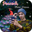 Peacock Photo Frame APK