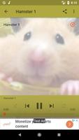 Hamster Sounds capture d'écran 2