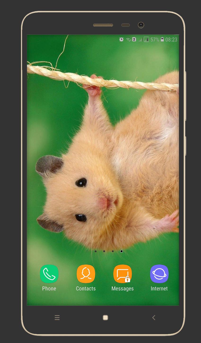 Cute Hamster Wallpaper for Android APK Download Cute Hamster Wallpaper for Android APK Download