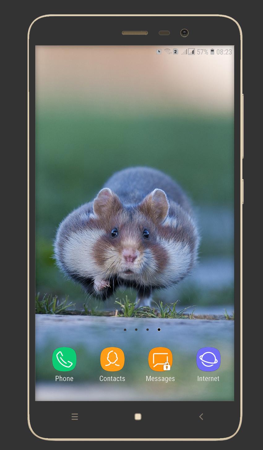 Cute Hamster Wallpaper for Android APK Download Cute Hamster Wallpaper for Android APK Download