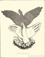 Handschatten-Kunst-Ideen Plakat