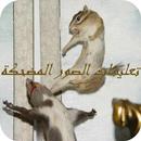 تعليقات الصور المضحكة APK