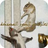 تعليقات الصور المضحكة