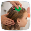 How to Get Rid Of Lice আইকন