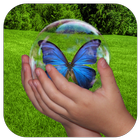 Bubble Nature Kids Game Free ícone